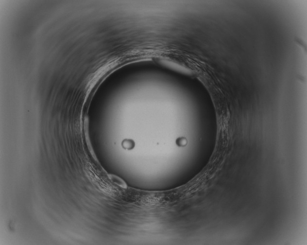 X0000100960148200806241535