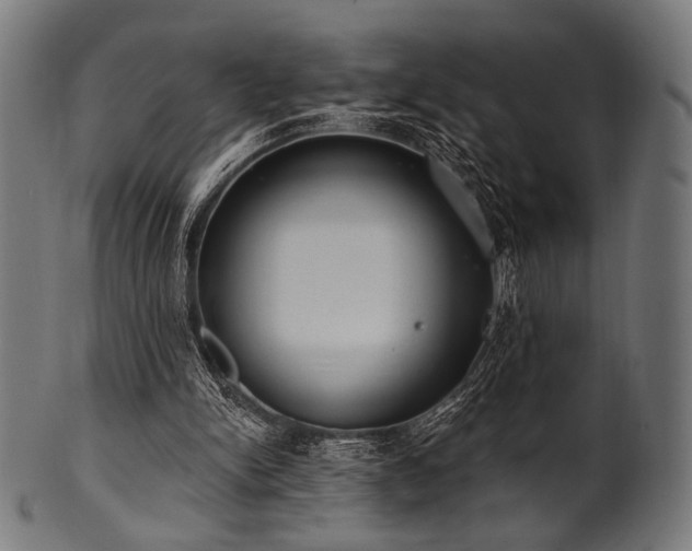 X0000100960150200806241535