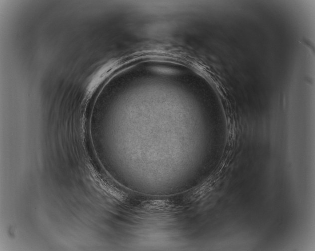 X0000100960151200806241535