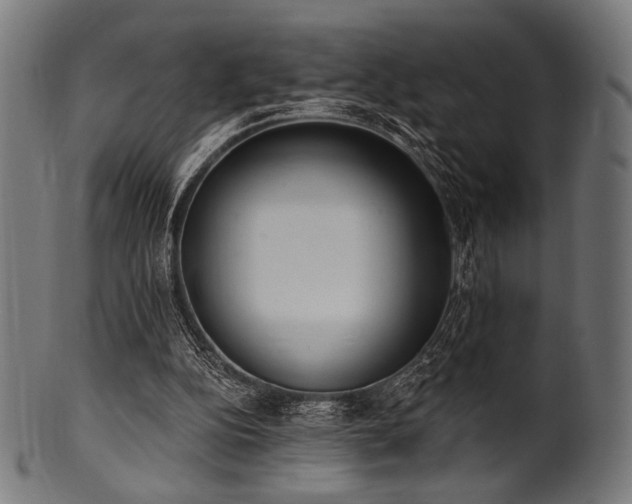 X0000100960152200806241535