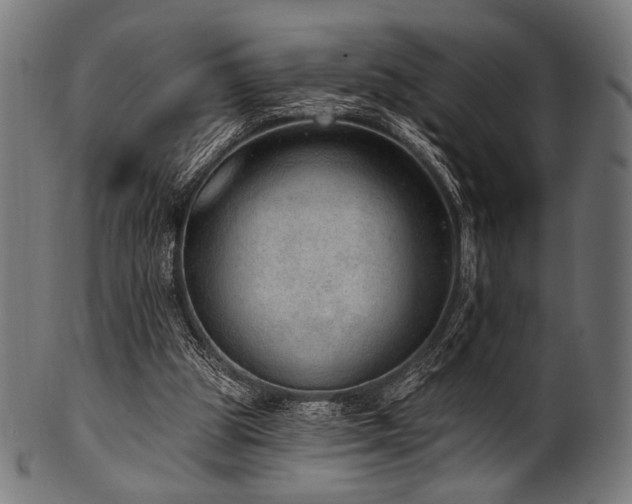 X0000100960153200806241535