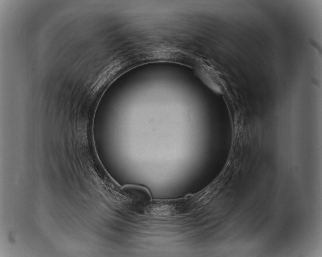 X0000100960154200806241535