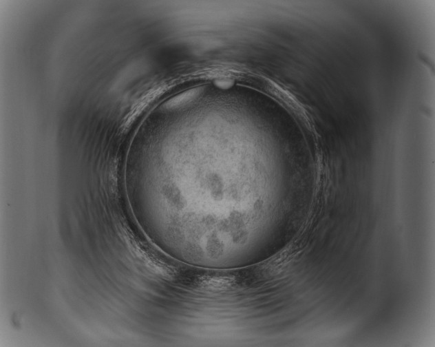 X0000100960155200806241535