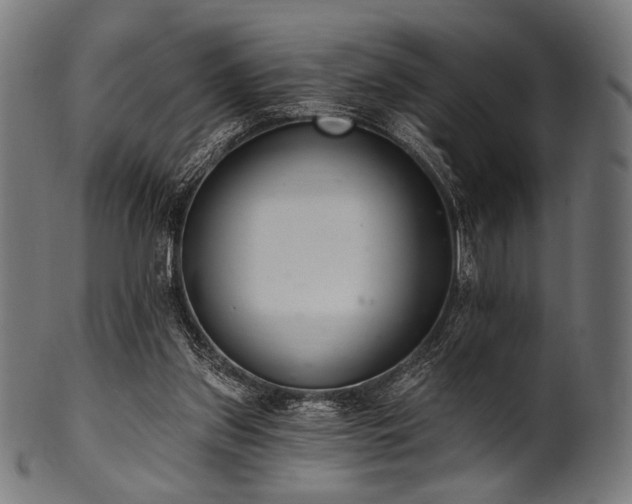 X0000100960157200806241535