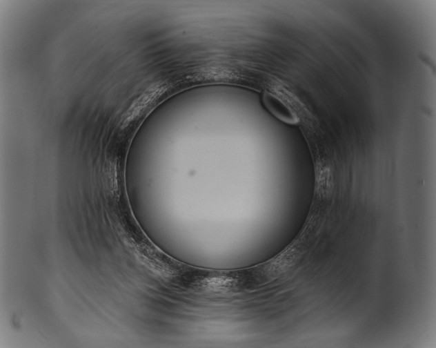 X0000100960158200806241535