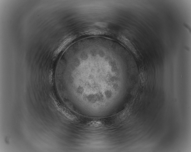X0000100960159200806241535