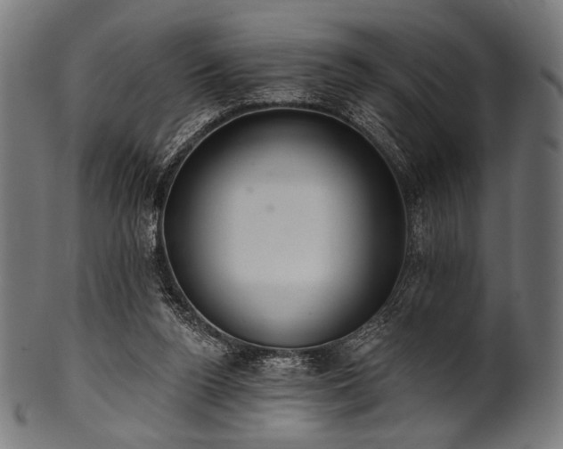 X0000100960160200806241535