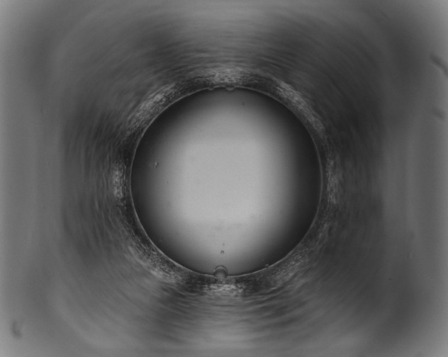 X0000100960161200806241535