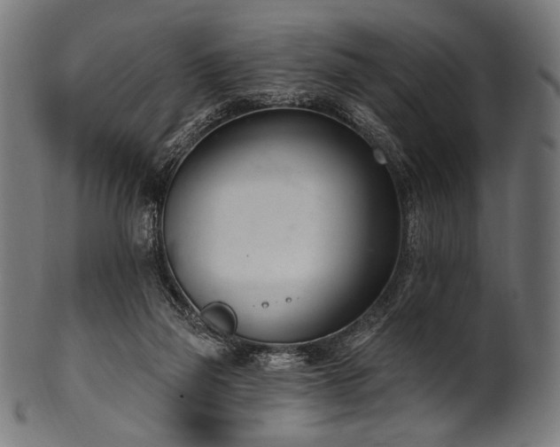 X0000100960165200806241535
