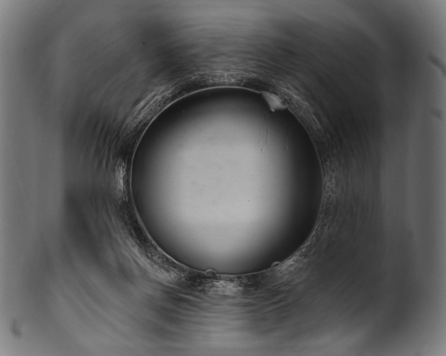 X0000100960166200806241535