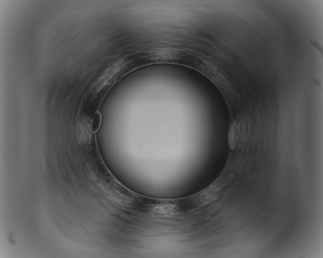 X0000100960168200806241536