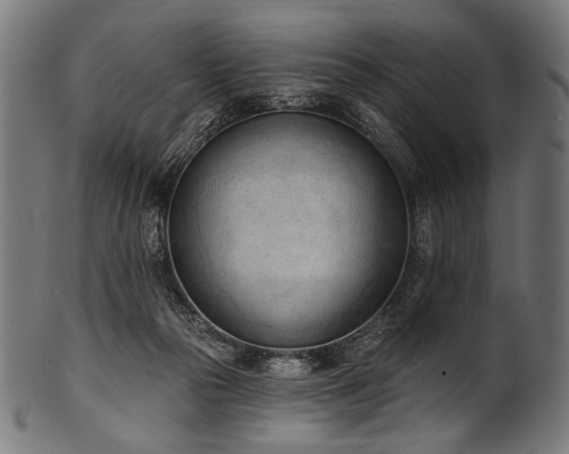 X0000100960169200806241536