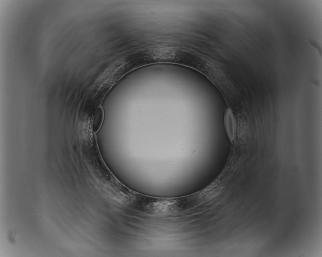 X0000100960172200806241536