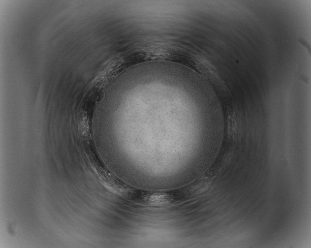 X0000100960173200806241536