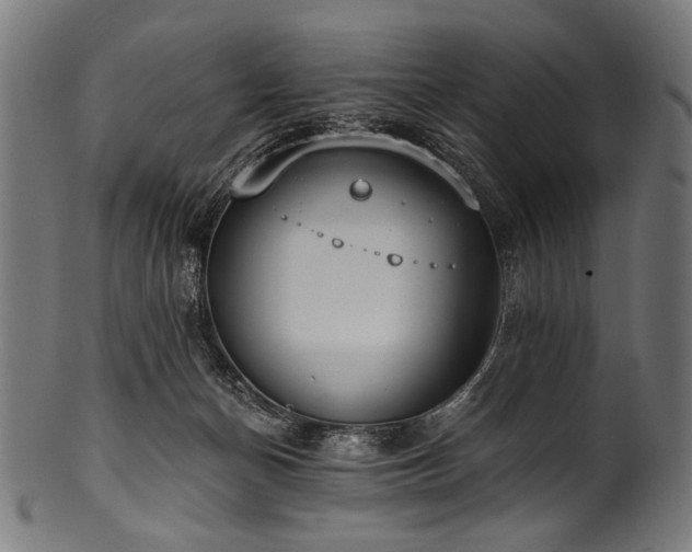 X0000100960174200806241536