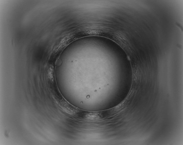 X0000100960175200806241536