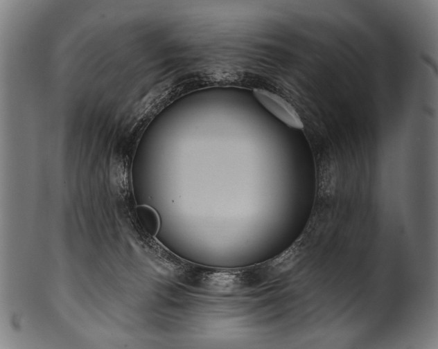 X0000100960176200806241536