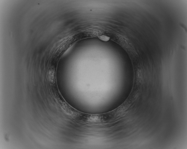 X0000100960177200806241536