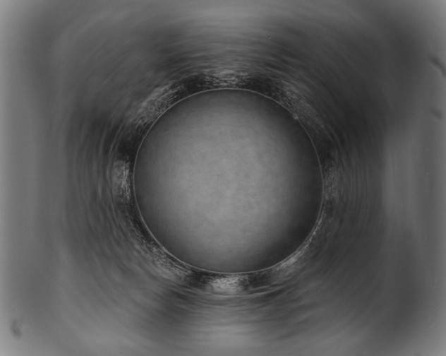 X0000100960178200806241536