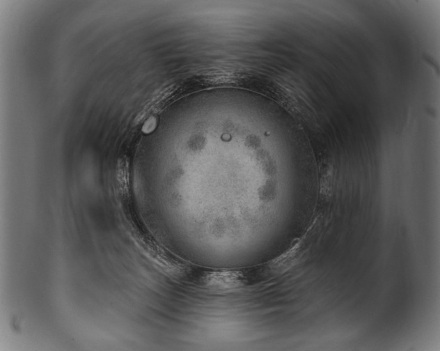 X0000100960179200806241536