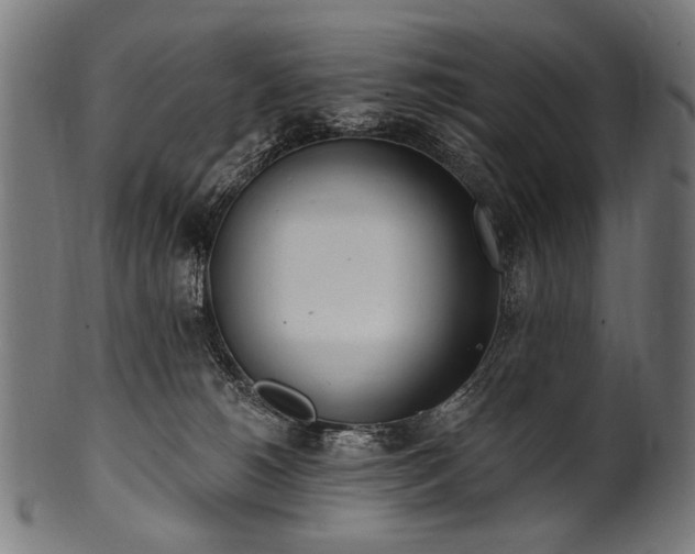 X0000100960180200806241536