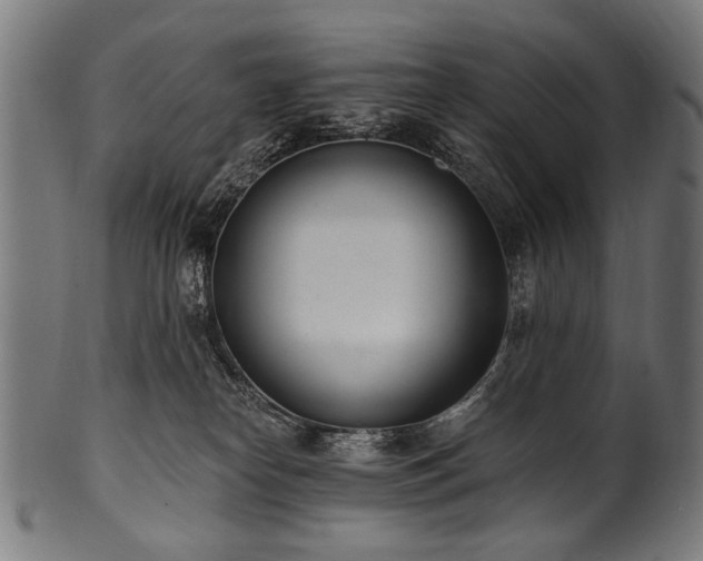 X0000100960182200806241536
