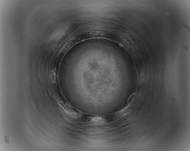 X0000100960183200806241536