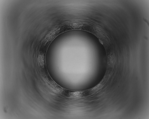X0000100960184200806241536