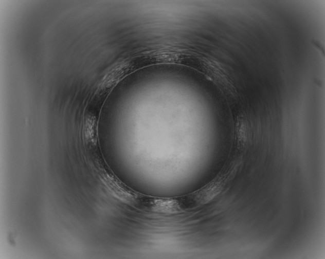 X0000100960185200806241536
