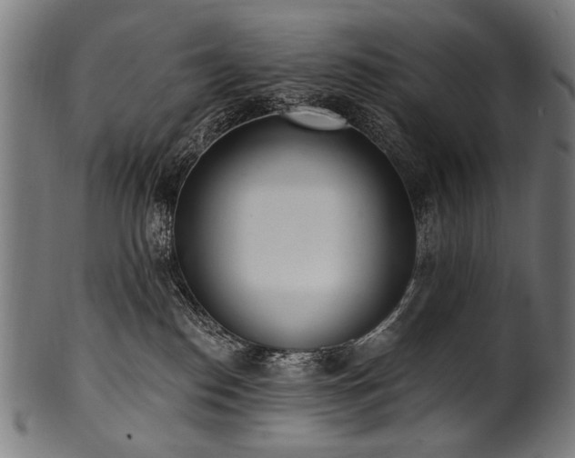 X0000100960186200806241536