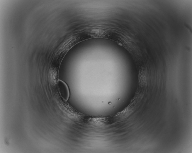 X0000100960188200806241536