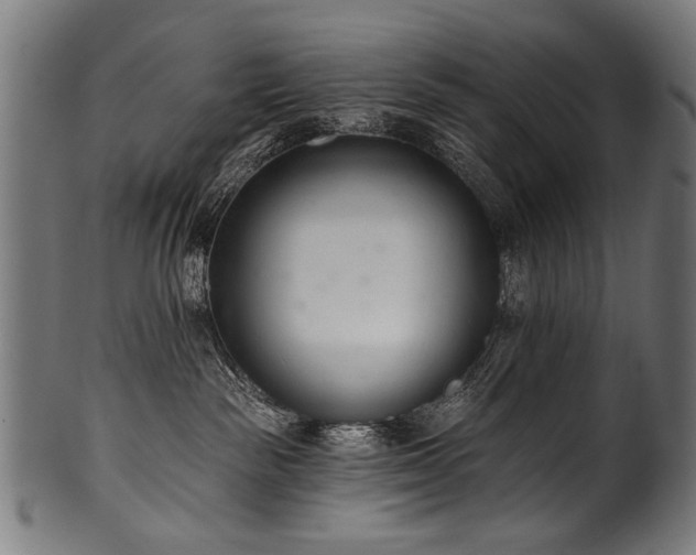 X0000100960189200806241536