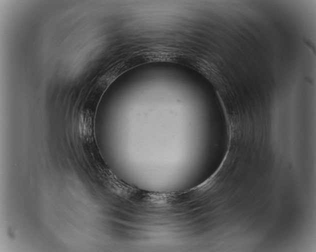 X0000100960190200806241536