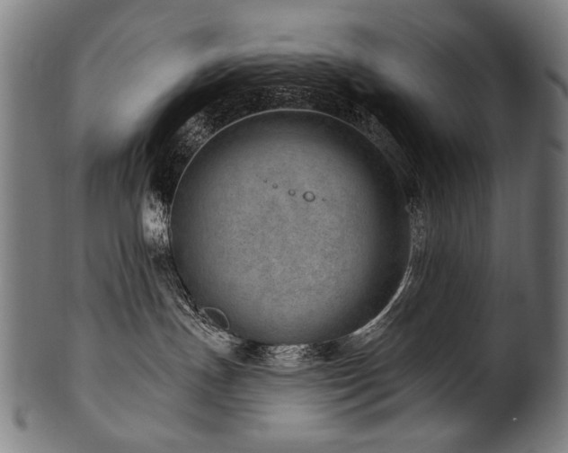 X0000100960191200806241536