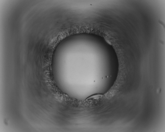 X0000100960192200806241536