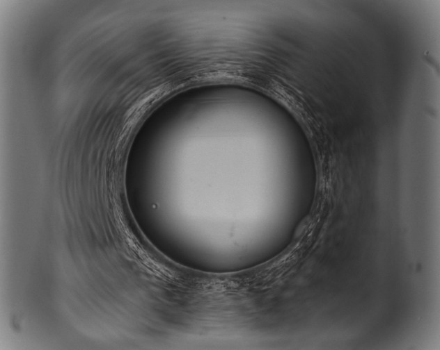 X0000100960193200806241535