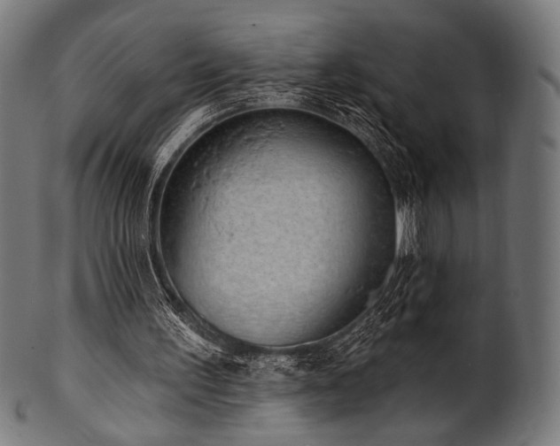 X0000100960195200806241535