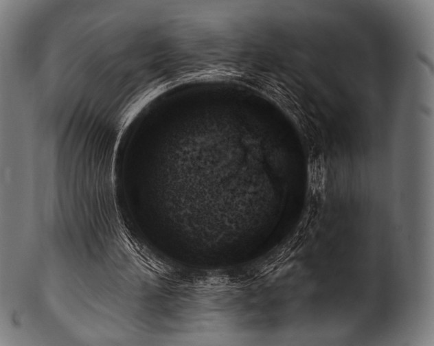 X0000100960196200806241535