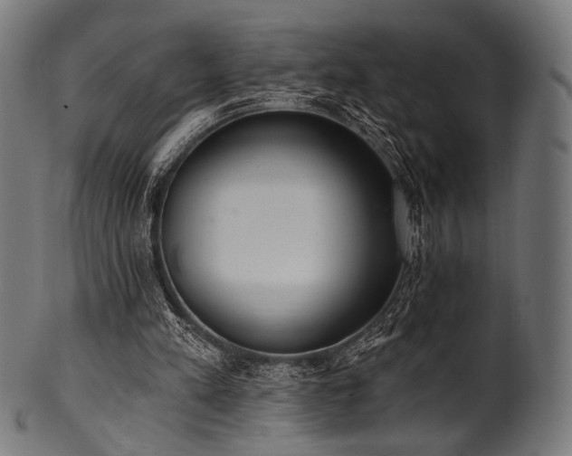 X0000100960197200806241535
