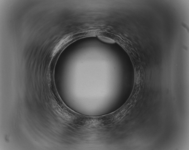 X0000100960198200806241535