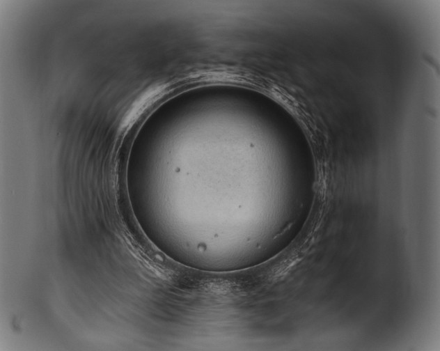 X0000100960199200806241535