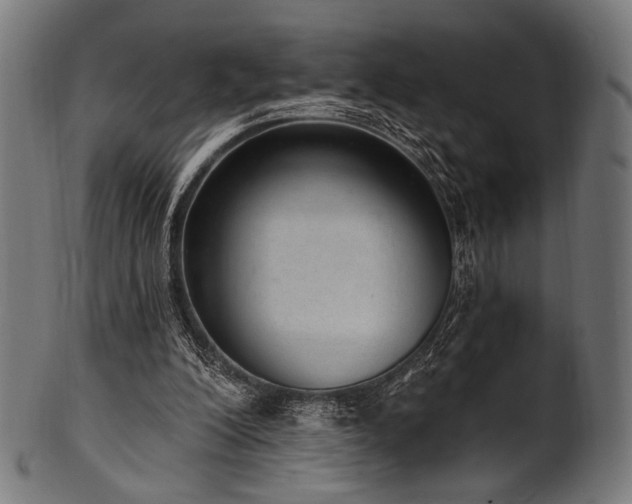 X0000100960200200806241535