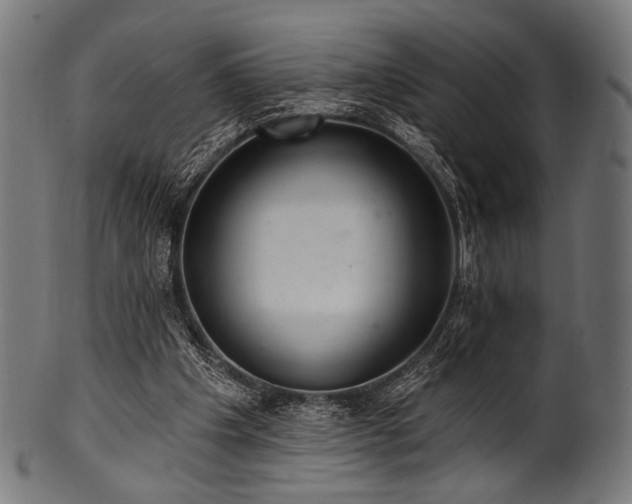 X0000100960201200806241535