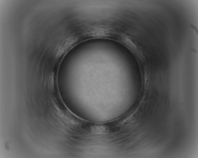 X0000100960202200806241535
