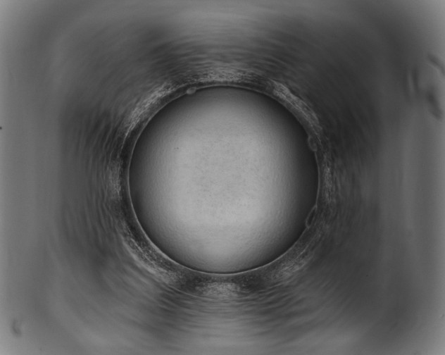 X0000100960203200806241535