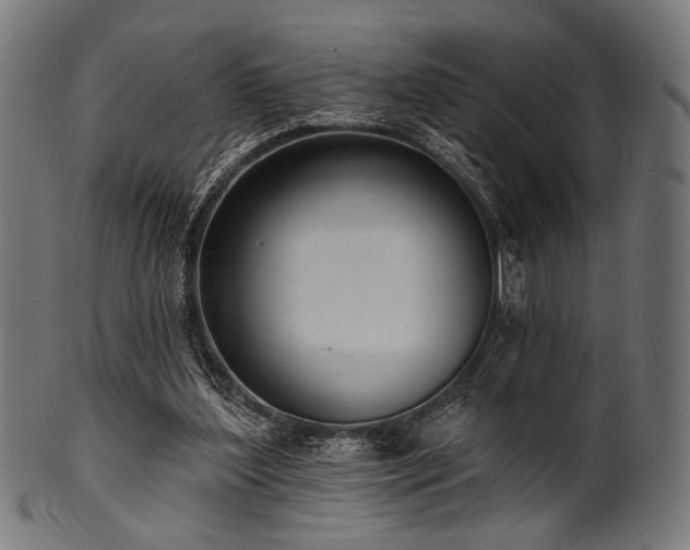X0000100960204200806241535