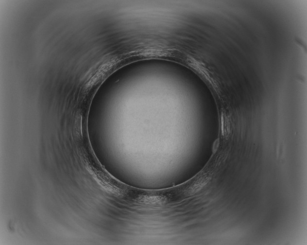 X0000100960205200806241535