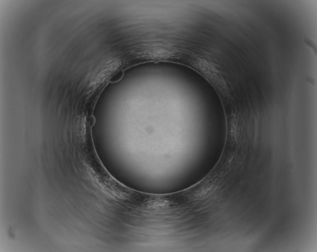 X0000100960206200806241535