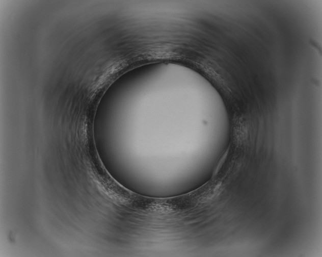 X0000100960207200806241535