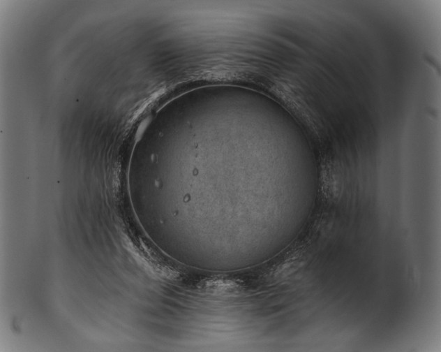 X0000100960208200806241535